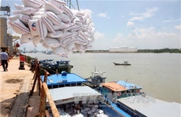 Doanh nghiệp Việt trúng thầu cung cấp 175.000 tấn gạo cho Philippines